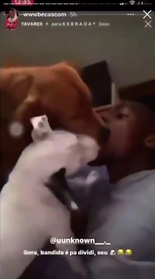 【大受震撼】塔瓦雷斯发了自己和爱犬互舔舌头的视频……